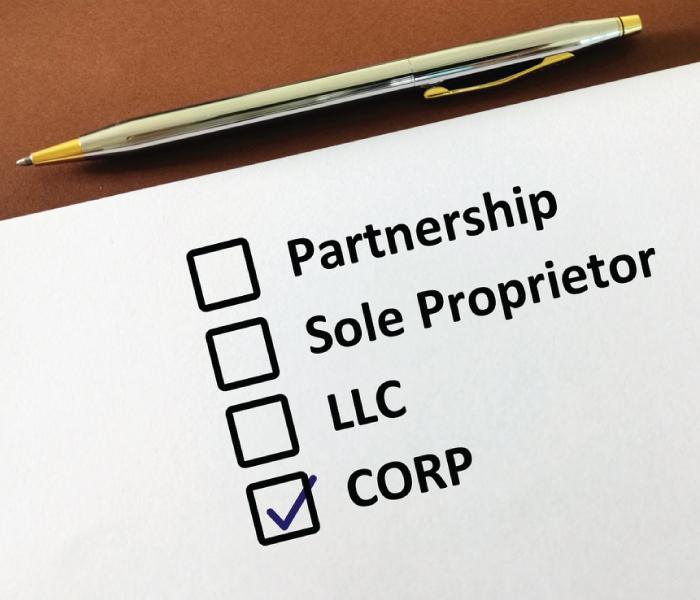 business setup services, new business formation, entity selection advisory, LLC formation